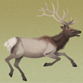Concept Art - Legacy 06: Elk and Hunter