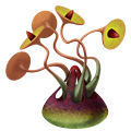Concept Art - WildSpot: Mushrooms 1