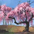 Sketches - Grand Cherry Tree