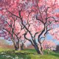 Sketches - Magnolia Trees