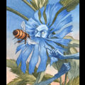 Wildflower Fae: Chicory
